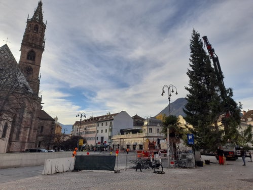 19 Meter hoch ragt der Baum jetzt am Rande des Waltherplatzes auf und wird vor der Eröffnung des Christkindlmarktes am 28. November noch geschmückt und mit Lichtern versehen. Die frühzeitige Aufstellung war deshalb vonnöten, weil ab morgen die Stände aufgestellt werden. (Foto: LPA/Maja Clara)