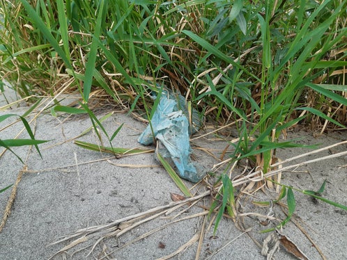 Rifiuti di plastica abbandonati in riva all’Adige. Una potenziale fonte di microplastiche. (Foto: Agenzia provinciale per l'ambiente e la tutela del clima)