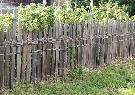 La Ripartizione Natura, Paesaggio e Sviluppo del territorio promuove la conservazione e la costruzione degli steccati in legno, tra cui la “Speltenzaun, la tradizionale recinzione raffigurata nella foto. Nel 2024 sono stati erogati circa 1,8 milioni di euro per la valorizzazione e la manutenzione del paesaggio. (Foto: USP/Horand Maier)