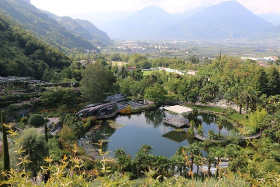  Visitati da 7 milioni di persone, si estendono su un’area di 12 ettari, su un anfiteatro naturale. Sono i Giardini di Castel Trauttmansdorff a Merano. (Foto: ASP)