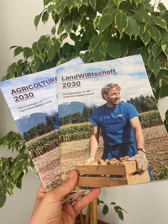 Annullata la conferenza stampa dedicata al documento di strategia per l'agricoltura altoatesina, approvato nel maggio dello scorso anno, (Foto: ASP)