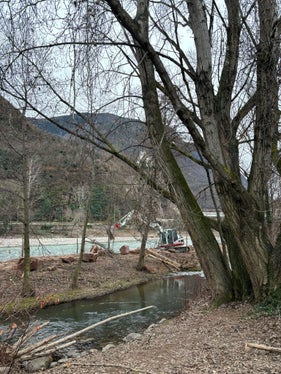 Das Landesamt für Wildbach- und Lawinenverbauung Süd führt Uferpflegearbeiten am Eisack unterhalb der gelben Brücke beim Zusammenfluss mit der Talfer aus. (Foto: LPA/Maja Clara)