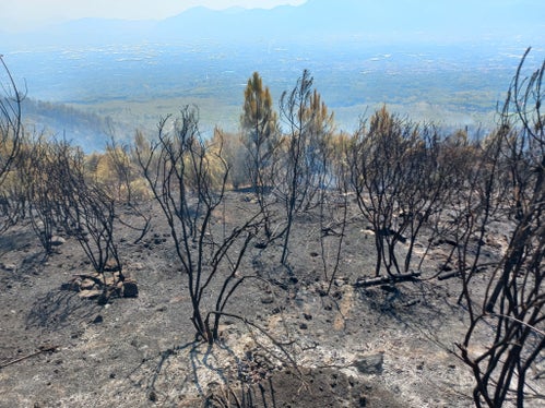 550 Hektar Fläche zerstörte der Großbrand an den Hängen des Vesuvs. An den Arbeiten zur Brandbekämpfung war auch eine Hilfskolonne aus Südtirol beteiligt. (Foto: LPA/Berufsfeuerwehr Bozen)