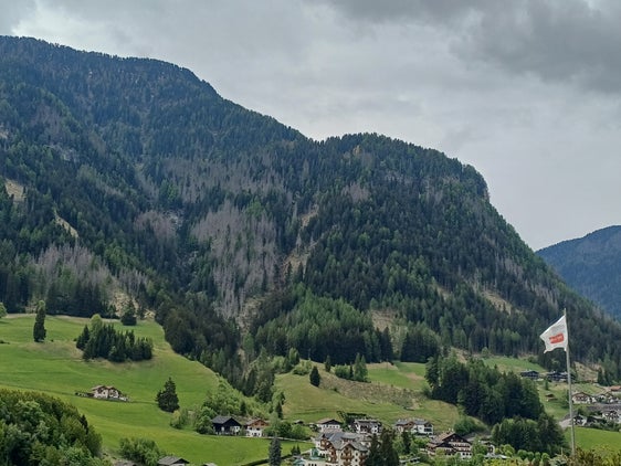 Arbeiten im Schutzwald Lausbühl zur Sicherheit der Bevölkerung: In der Bildmitte die borkenkäferbefallene Schutzwaldfläche, in der das Schutzwaldprojekt umgesetzt wird. (Foto: LPA/Forstinspektorat Brixen)