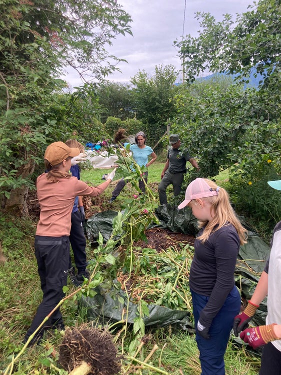 I giovani e le giovani hanno partecipato attivamente alla rimozione dell'impatiens glandulifera. (Foto: V. Wild, Centro visite del Parco naturale del Gruppo di Tessa)