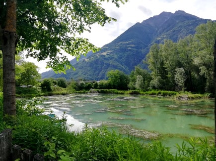 Im Rablander Weiher ist die erste Phase der Arbeiten abgeschlossen, um die stark invasive Wasserpflanze Elodea nuttallii zu entfernen. (Foto: LPA/Landesagentur für Umwelt und Klimaschutz)

