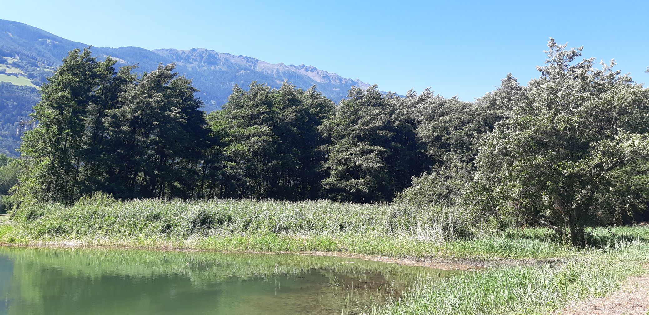 Der Startschuss für die zweite Ausschreibung zur Förderung der Biodiversitätsforschung Biodiversa+ ist gefallen. Forschungseinrichtungen können bis zum 9. November eine Vorbewerbung einreichen. Im Bild das Biotop Englisch Moos (Foto: LPA)