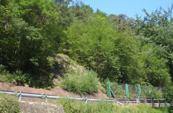 Quello previsto sul tratto della strada della Val d'Ega, tra Cornedo e Nova Ponente, sarà l'ultimo intervento di messa in sicurezza sulla statale. La Giunta ha dato il via libera alle caratteristiche tecniche del progetto, che prevede la messa in opera di una galleria paramassi  e l'ampliamento della strada. (Foto: Ripartizione infrastrutture)