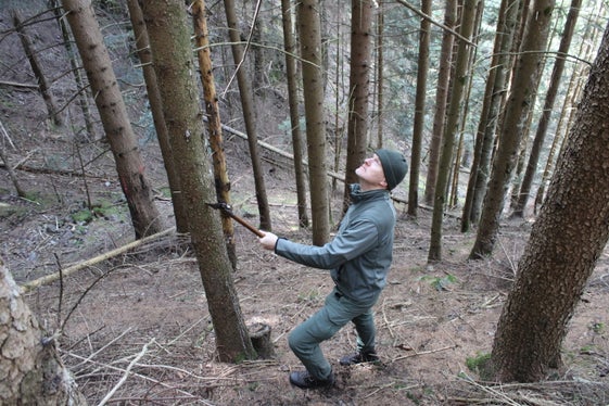 Auszeige für eine Durchforstung im Pfundererberg in Villanders. (Foto: LPA/Forstbetrieb in der Agentur Landesdomäne/Andreas Agreiter)