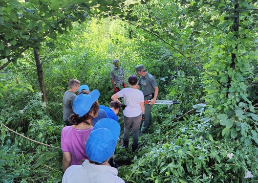 Preservare la conservazione della biodiversità e degli habitat naturali. Questo l'obiettivo della giornata al biotopo Taufner Au. (Foto: ASP/Ufficio Natura)