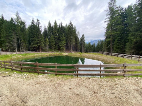 Der Löschwasserteich auf der Mittewalder Alm. (Foto: LPA/Noemi Prinoth)