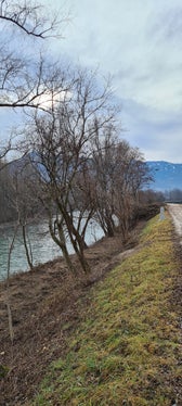 Ufergehölze müssen regelmäßig zurückgeschnitten oder auch entfernt werden, damit sie nicht als Treibholz die Abflussmöglichkeit verhindern. (Foto: LPA/Landesamt für Wildbach- und Lawinenverbauung Süd in der Agentur für Bevölkerungsschutz)