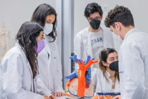 Studierende am UMCH während des Anatomie-Unterrichts: Interessierte können einen der zwei Infotage im Juni nutzen, um sich über das Studium und die Studienbeihilfe des Landes zu informieren. (Foto: UMFST/UMCH)