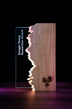 Der Euregio-JungforscherInnenpreis: Insgesamt 44 junge Forschende haben sich mit Arbeiten dafür beworben. (Foto: Euregio)