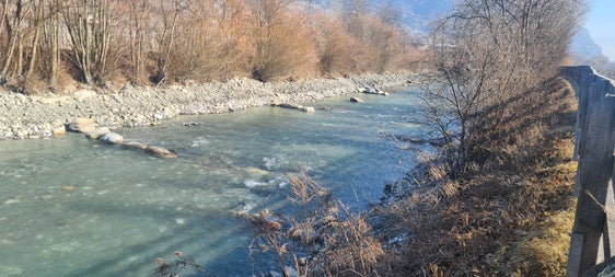 Nell'Adige, al di sopra del ponte della Val Venosta verso Ponte di Legno e nei pressi del campeggio di Laces, gli escavatori vengono utilizzati per rimuovere il materiale di carico dal letto, al fine di ripristinare la sezione trasversale originale del flusso dell'Adige. (Foto: USP/Ufficio Sistemazione bacini montani ovest)