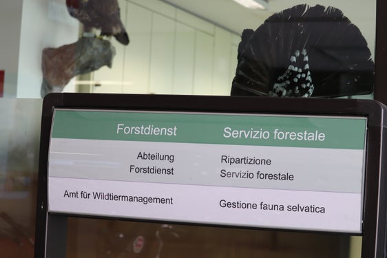 Tutti gli avvistamenti di lupi devono essere segnalati all'Ufficio provinciale Gestione fauna selvatica, in via Brennero 6, a Bolzano. (Foto: USP/Maja Clara)