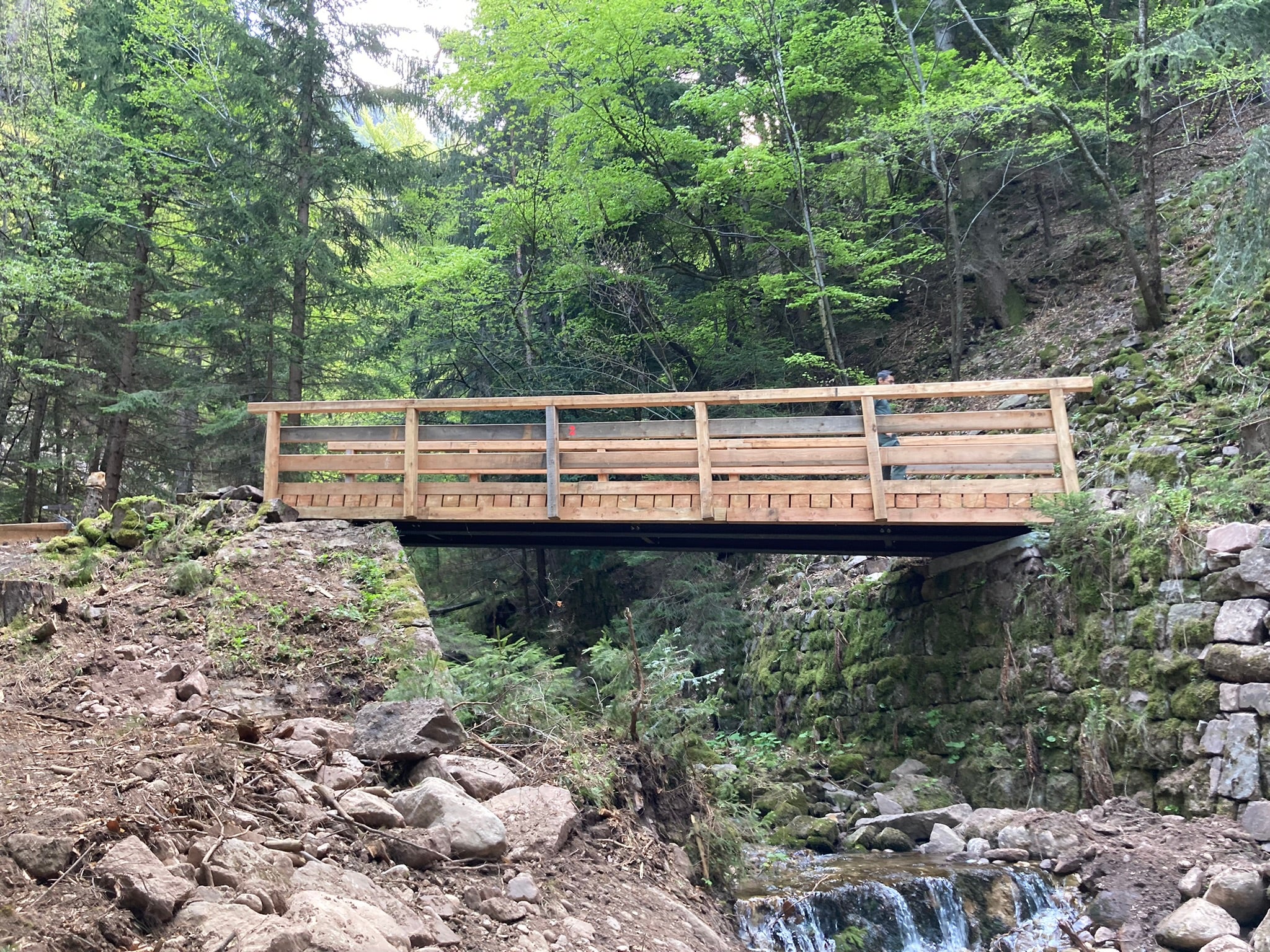 Il sentiero da Aldino e Bronzolo è nuovamente aperto agli escursionisti e agli amanti della natura grazie alla ristrutturazione di quattro ponti. (Foto: ASP/Ispettorato Forestale Bolzano I)