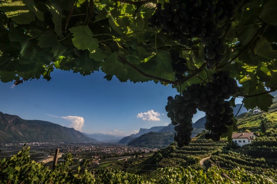 Wetterbild des Monats August 2026: Blick auf das Etschtal (Foto: LPA/Martin Geier)