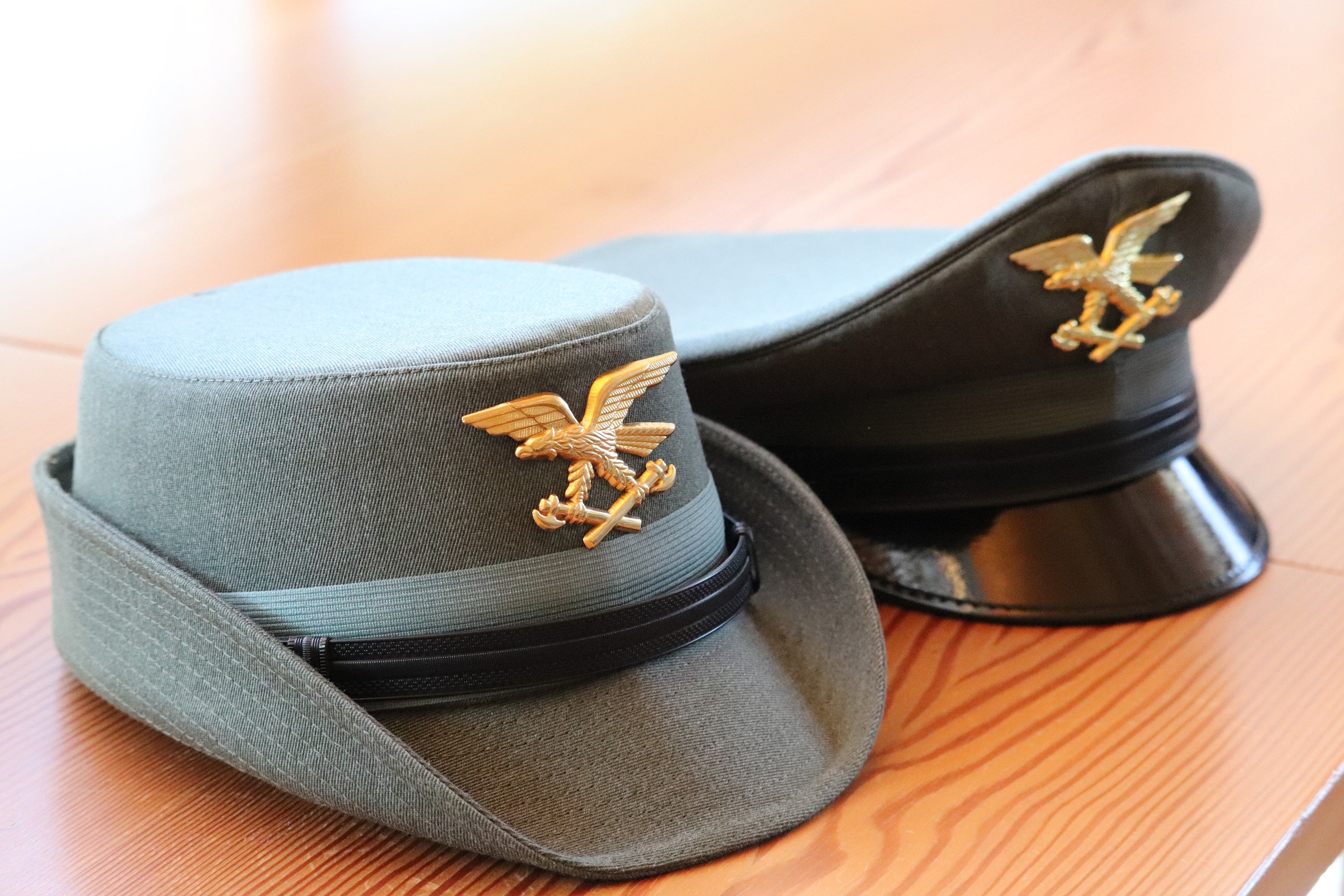 Il Servizio Forestale provinciale - nella foto il logo sui cappelli delle uniformi - è in costante contatto con l'ISPRA, l'Istituto Superiore per la Protezione e la Ricerca Ambientale, dall'avvistamento del lupo a Dobbiaco. (Foto: USP)
