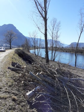 Bei einem Hochwasser mitgerissenes Schwemmholz kann zu Verklausungen, also Verstopfungen des Bachquerschnittes, führen. (Foto: LPA/Landesamt für Wildbach- und Lawinenverbauung Süd)