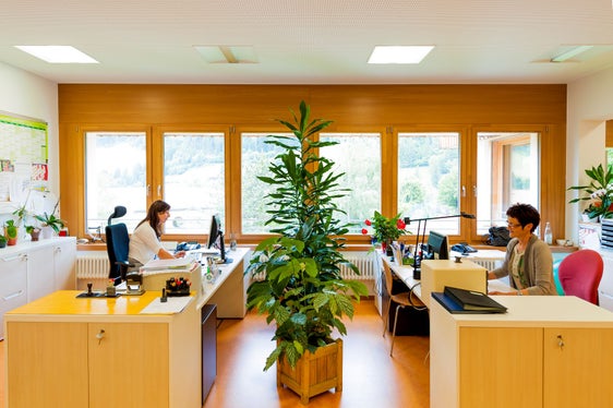 La Ripartizione provinciale Personale ha indetto un corso-concorso pubblico per esami per la copertura di 32 posti di segretaria/segretario scolastico. Le candidature sono aperte fino al 31 marzo. (Foto: ASP)