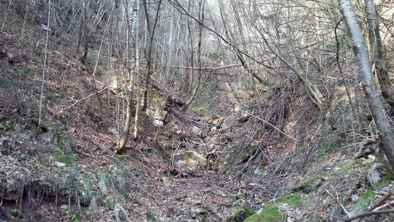 Rio di Colpietra (Foto: ASP/Ufficio sistemazione bacini montani Sud)