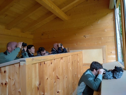 Chi è rimasto fino a sera ha potuto osservare con il cannocchiale camosci e caprioli e ascoltare il bramito dei cervi. (Foto: USP/Scuola forestale Latemar)