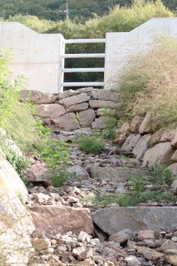 Die neue Sperre im Haslacherbach oberhalb der Haselburgpromenade von unten. (Foto: LPA/Maja Clara)
