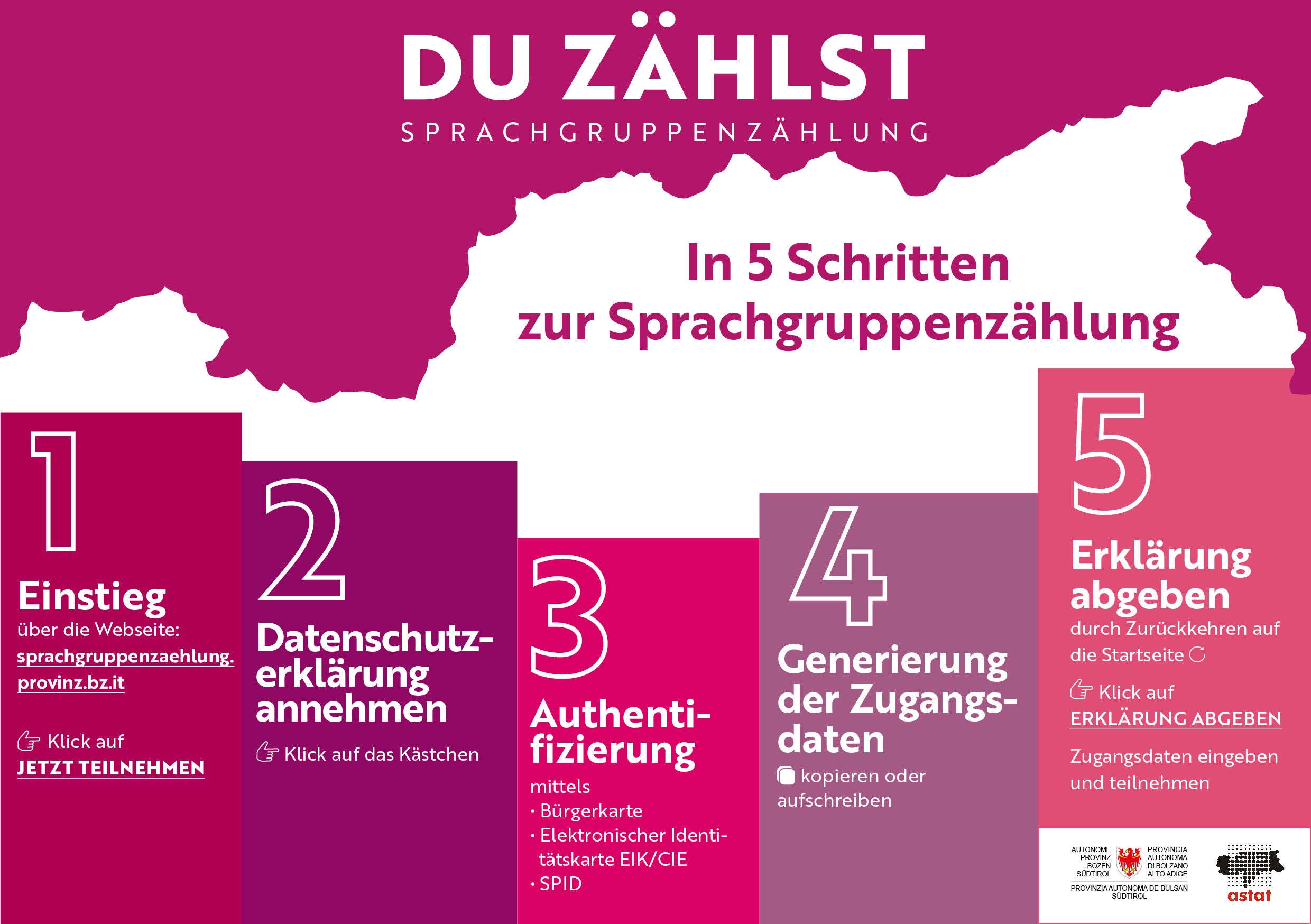 5 Schritte sind nötig, um an der Online-Sprachgruppenzählung teilzunehmen. (Grafik: LPA/Astat)