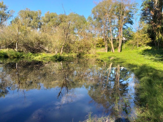 La Provincia può acquistare terreni per salvaguardare le aree protette a lungo termine. (Foto: USP/Rainer Ploner)