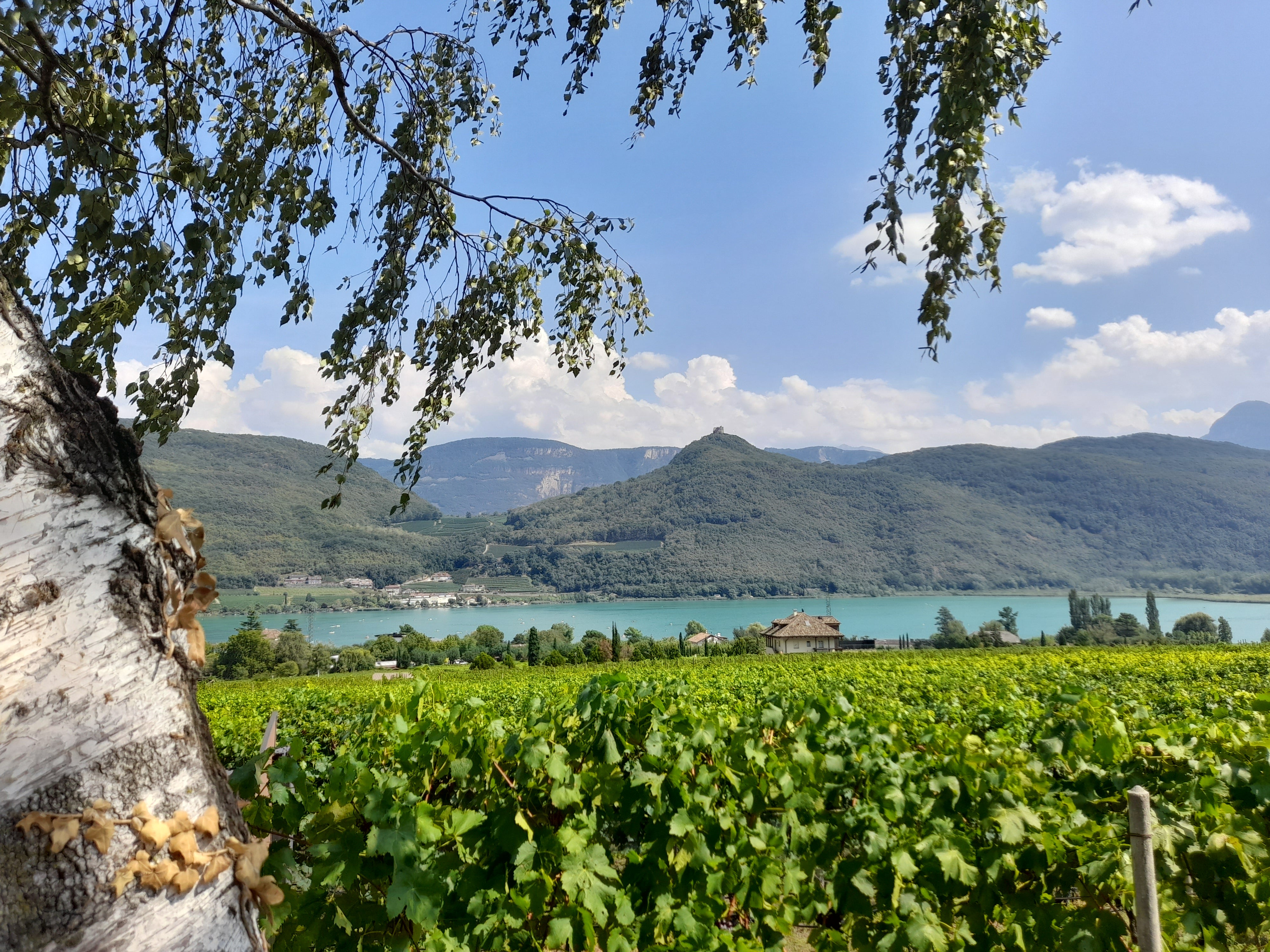Der Tag vor dem großen Regen: Blick von St. Josef auf den Kalterer See am Samstag, 26. August (Foto: LPA/Maja Clara)
