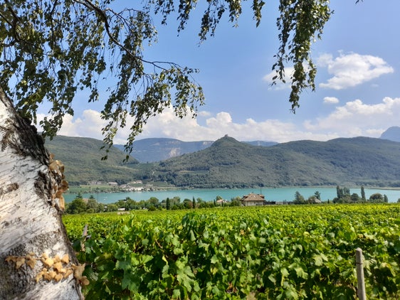 Der Tag vor dem großen Regen: Blick von St. Josef auf den Kalterer See am Samstag, 26. August (Foto: LPA/Maja Clara)