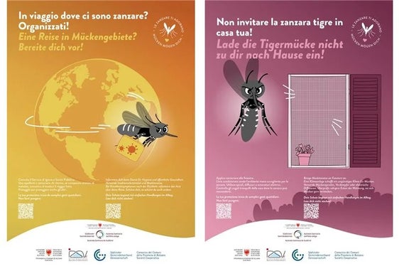 La zanzara tigre asiatica si è diffusa anche in Alto Adige e può trasmettere agenti patogeni. Per questo motivo l'Azienda sanitaria dell'Alto Adige ha avviato una campagna informativa. (Foto: Azienda sanitaria dell'Alto Adige)

