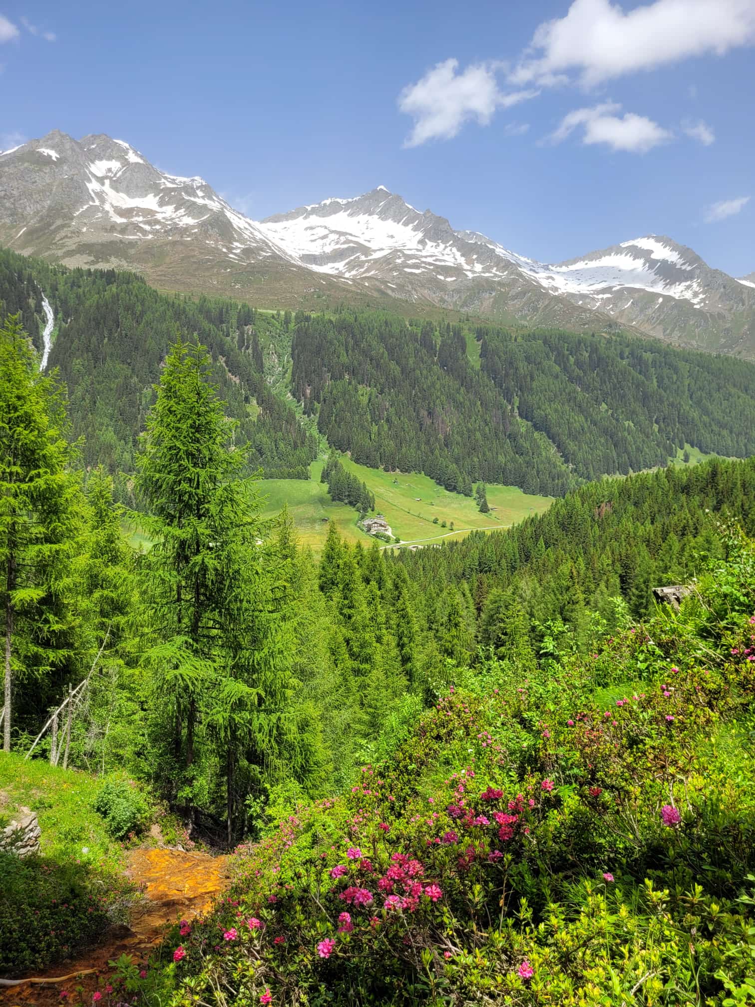 Mese di giungo umido e con precipitazioni elevate, la sintesi fornita dell'Ufficio meteorologia dell'Agenzia per la Protezione civile (Foto: ASP/Lidwina Seeber)