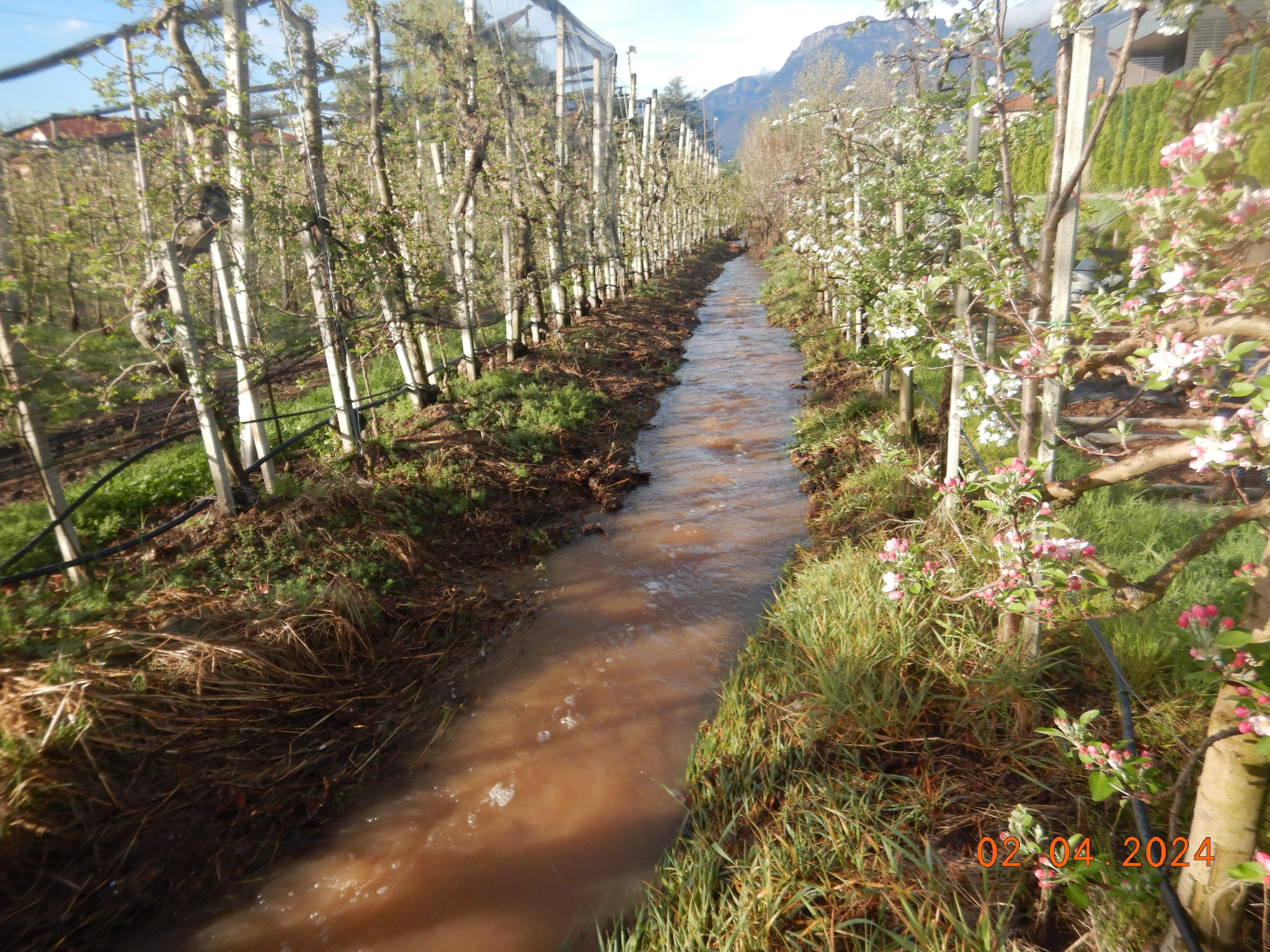 So nicht, weil zu nahe: Grundsätzlich gilt an Domanialgewässern beziehungsweise Fließgewässern beiderseits der Ufer ein Bannstreifen von zehn Metern - alle Eingriffe innerhalb dieses Bannstreifens sind genehmigungspflichtig. (Foto: LPA/Landesamt für Öffentliches Wassergut in der Agentur für Bevölkerungsschutz)