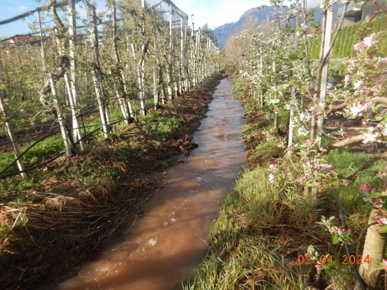 So nicht, weil zu nahe: Grundsätzlich gilt an Domanialgewässern beziehungsweise Fließgewässern beiderseits der Ufer ein Bannstreifen von zehn Metern - alle Eingriffe innerhalb dieses Bannstreifens sind genehmigungspflichtig. (Foto: LPA/Landesamt für Öffentliches Wassergut in der Agentur für Bevölkerungsschutz)