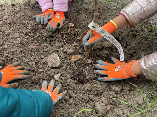 Mani laboriose: i bambini del 1° e 5° anno della scuola elementare “Silvius Magnago” di Varna si sono impegnati a fondo e hanno piantato molti arbusti per rinverdire la nuova circonvallazione di Varna.(Foto: USP/Armin Oberhofer)