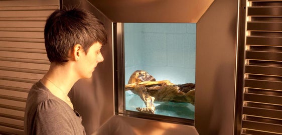 La mummia del ghiacciaio Ötzi nel Museo Archeologico (Foto: SAM/Augustin Ochsenreiter)