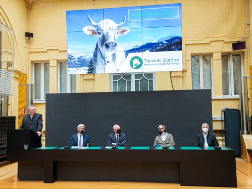In der Milchwirtschaft ist das Projekt Tierwohl ein Schritt auf dem Weg zur Nachhaltigkeit. V.l.: Reinalter (stehend), Schuler, Tiefenthaler, Kofler&nbsp;und Kössler. (Foto: LPA/Fabio Brucculeri)