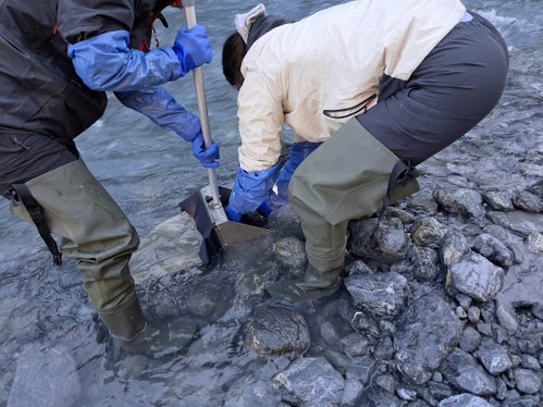 Das Biodiversitätsmonitoring in Fließgewässern wurde während im Trafoier Bach untersucht. (Foto: LPA/Deutsche Bildungsdirektion/Landesamt für Didaktik/Guido Caracristi)