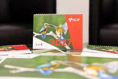 Il calendario Euregio 2026 è disponibile gratuitamente in formato da parete e da tavolo. (Foto: Land Tirol/Sedlak)