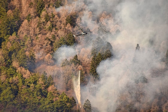 Meglio prevenire che curare: una volta che gli incendi si sono diffusi nel bosco, le fiamme devono essere combattute da tutti i lati per avere una possibilità di estinguerli. (Foto: ASP/Ripartizione Foreste)