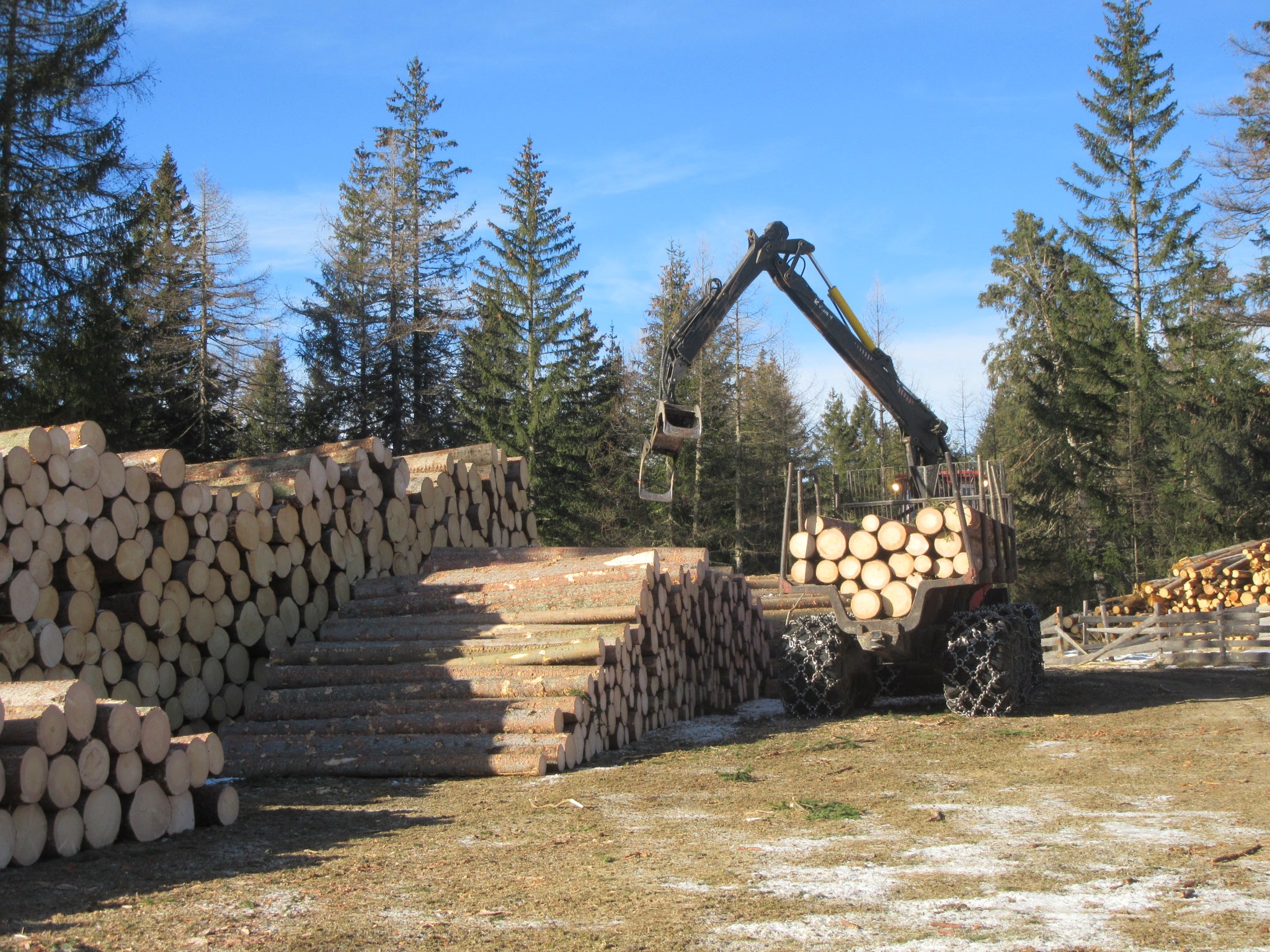 Nel webinar del 15 settembre ci si interrogherà su come conciliare in modo sostenibile i benefici economici, ambientali e sociali delle foreste (Foto: ASP/Ufficio provinciale all'Agricoltura)