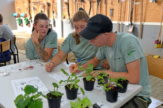 Anche questa era una prova del concorso (da sinistra): Noemi Breitenberger, Hanna Egger e Simon Hofer hanno descritto le piantine di ortaggi con il loro nome botanico e hanno associato i semi corrispondenti. (Foto: USP/Scuola professionale Laimburg)
