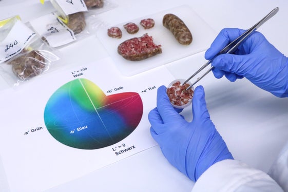 Ziel der Arbeitsgruppe Fleischprodukte ist es, den fleischverarbeitenden Sektor in Südtirol mit wissenschaftlicher Forschung zu begleiten, um lokale Produkte mit Innovationen zu fördern, die Verarbeitungsprozesse zu optimieren und neue Produkte zu entwickeln. Die Expertinnen und Experten in diesem Labor beschäftigen sich mit der Frage, wie man die Qualität der Südtiroler Traditionsprodukte erhalten und weiter steigern sowie den Bestimmungen im Lebensmittelbereich entsprechen kann. (Foto: LPA/Versuchszentrum Laimburg/Agnese Martinelli)