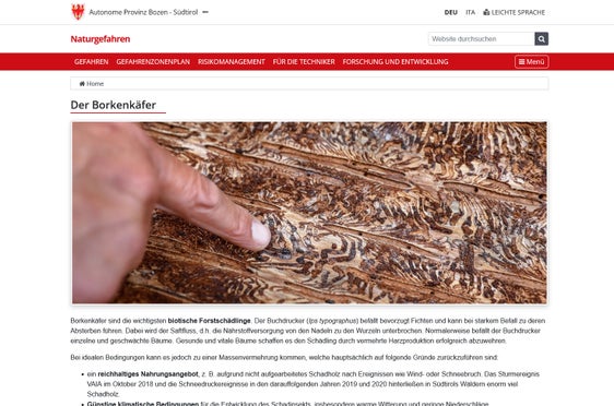 provinz.bz.it/Borkenkäfer: Auf dieser Informationsseite des Landes Südtirol gibt es Informationen in Schrift und Bild zum aktuellen Waldschädling Nr. 1. (Foto: LPA)