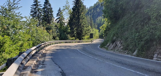 Ab Montag, 10. November, beginnen im Passeiertal die Arbeiten zur Sanierung der Staatsstraße (SS 44) zwischen Kilometer 7,765 und Kilometer 8,300 im Riffianer Wald. (Foto: LPA/Ressort für Infrastrukturen und Mobilität)