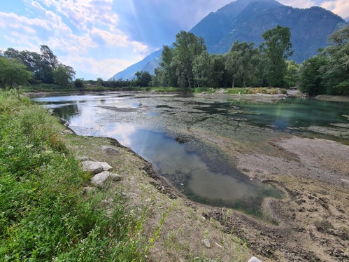 Mit ihren dichten Beständen verdrängt die schnellwüchsige Wasserpest-Art einheimische Wasserpflanzen und Planktonarten. Die Aufnahme entstand vor Beginn der Arbeiten. (Foto: LPA/Landesamt für Wildbach- und Lawinenverbauung West)