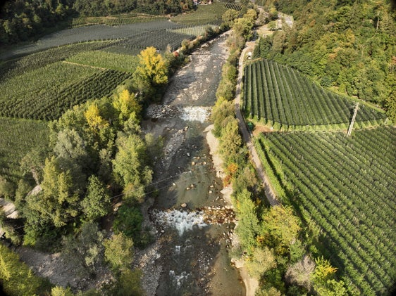 Blick auf die Passer bei der Fischzucht in Meran: Vor Beginn der Bauarbeiten wird der betroffene Abschnitt in dieser Woche abgefischt. Dabei werden die Fische fachgerecht entnommen und in geeignete Gewässerbereiche umgesetzt. Anschließend beginnt das Amt für Wildbach- und Lawinenverbauung West mit den Arbeiten zur Verbesserung der Fischdurchgängigkeit, die rund zwei Monate andauern werden. (Foto: LPA/Amt für Wildbach- und Lawinenverbauung West in der Agentur für Bevölkerungsschutz/Roland Gufler)