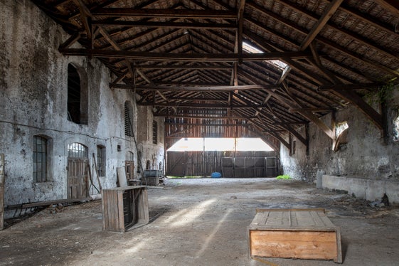 Im Inneren hat sich die ursprüngliche Dachkonstruktion mit einer Spannweite von rund 28 Metern intakt erhalten. (Foto: LPA/Landesdenkmalamt)